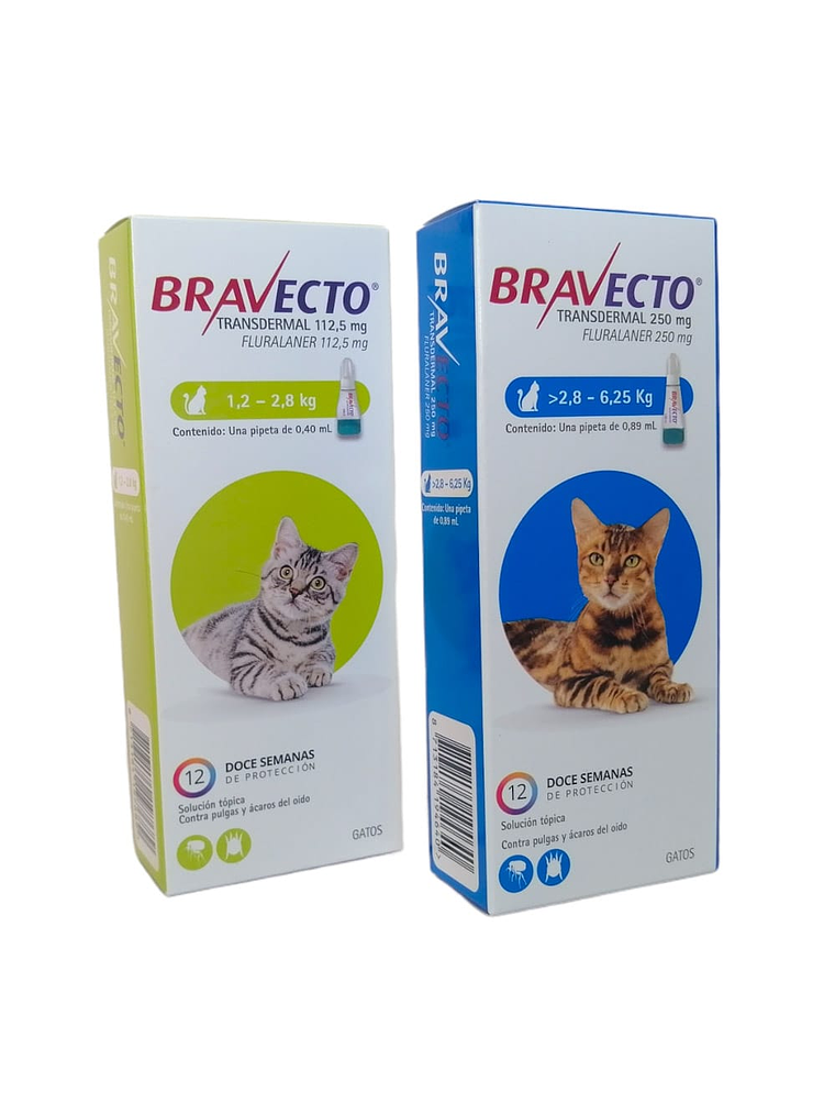 Bravecto Plus Pipeta Gato 2
