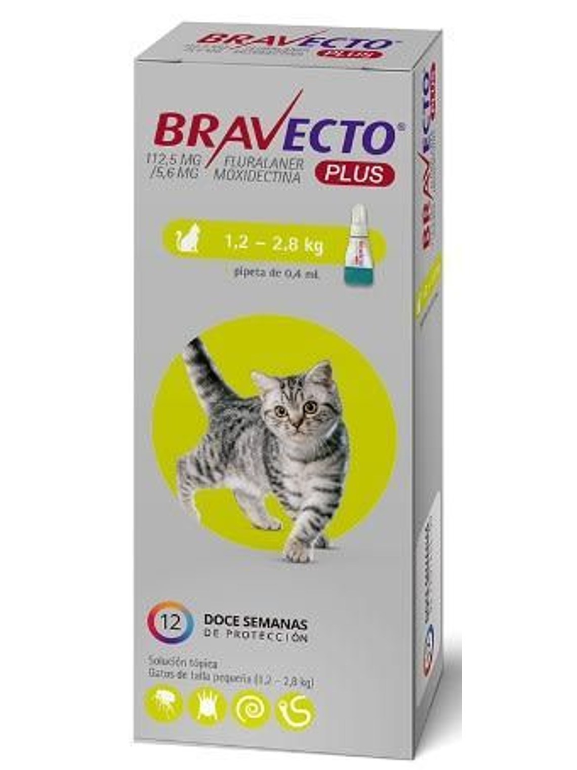 Bravecto Plus Gato 1.2 a 1.8kg 2