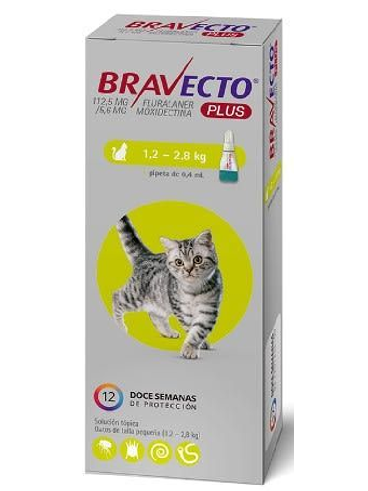 Bravecto Plus Gato 1.2 a 1.8kg 2