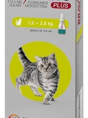 Bravecto Plus Gato 1.2 a 1.8kg