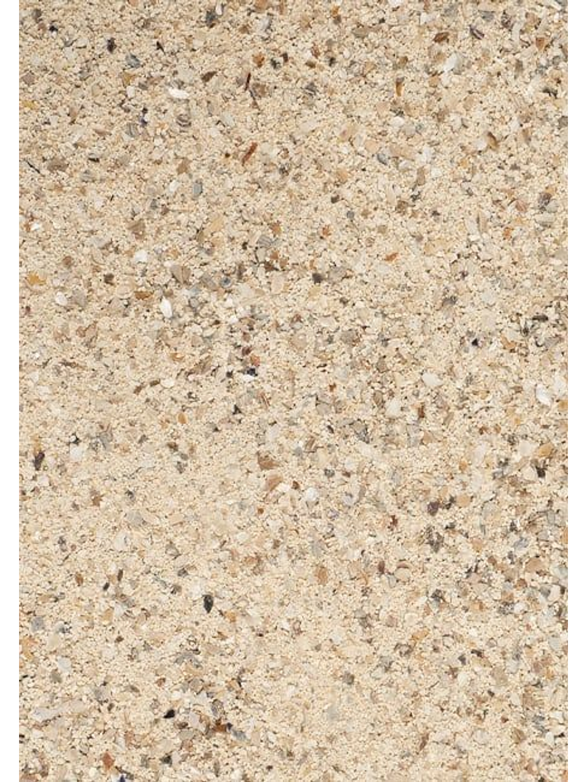 Serinus Calcium Grit 1kg 3