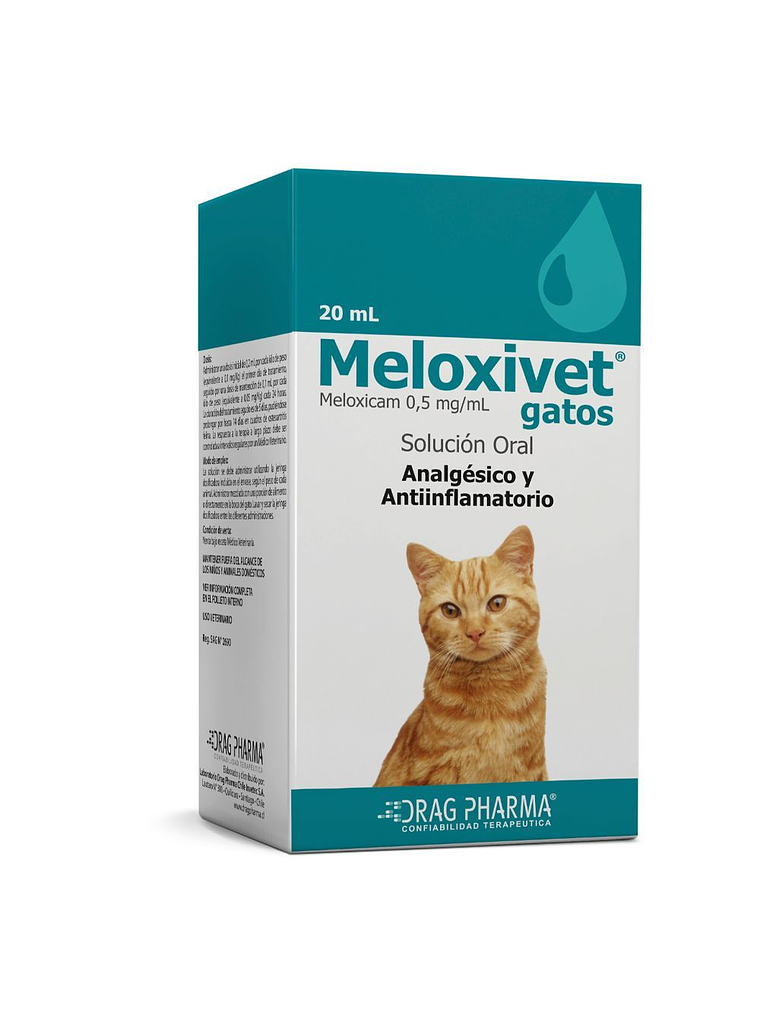 Meloxivet Gatos 1