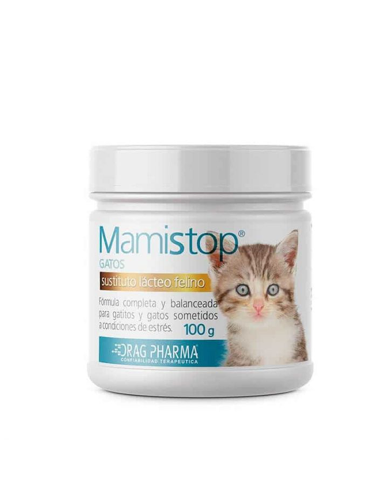 MamiStop Gato 1