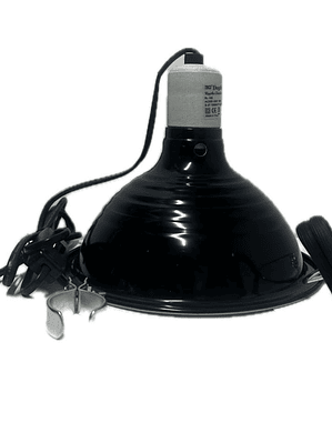 Lámpara Dophin para reptiles