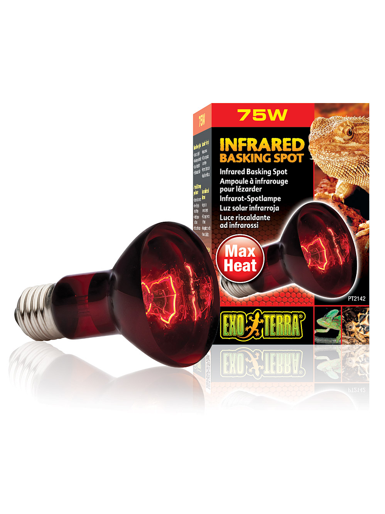 Exo Terra Ampolleta Infrarroja 75W 1