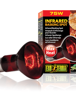 Exo Terra Ampolleta Infrarroja 75W