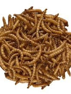 Super Tenebrio 400gr