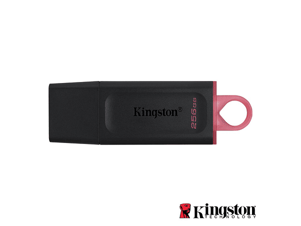 PEN USB 256GB USB 3.2 KINGSTON 1