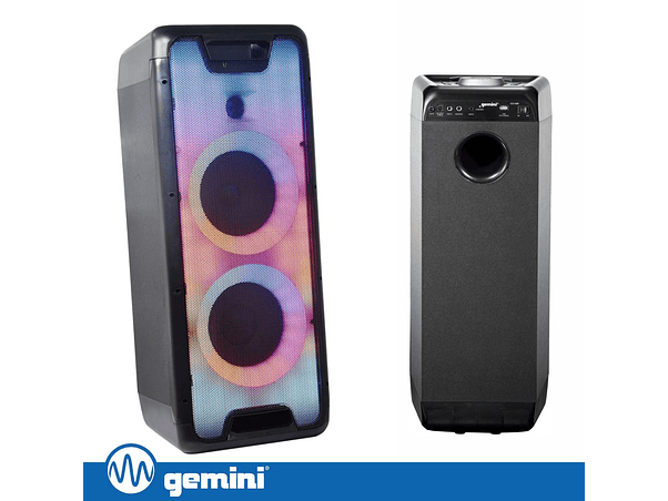 COLUNA AMPLIFICADA 2X8