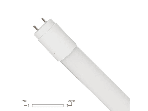 LÂMPADA TUBULAR T8 10W 60CM LED 4000K FASE E NEUTRO OPOSTOS 1