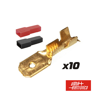 TERMINAL FASTON MACHO 6.35MM 10X COM CAPAS