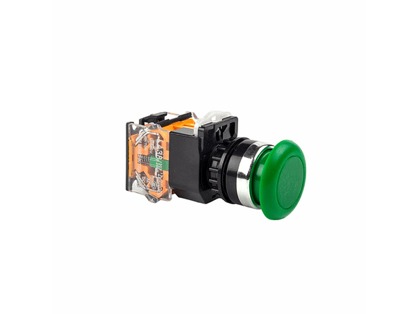 PULSADOR MOMENTÂNEO 500V AC 10A IP65 22MM 1