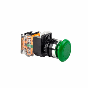 PULSADOR MOMENTÂNEO 500V AC 10A IP65 22MM