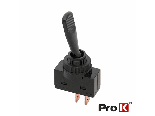 INTERRUPTOR ALAVANCA ASW-13 ON-OFF 20A /12V 1