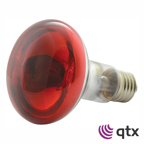 Lâmpada R80 E27 60W 230V Vermelha QTX