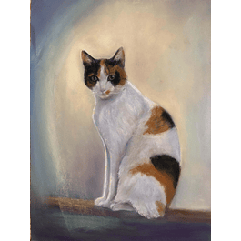 Cuadro de gato en técnica Pastel - Título  