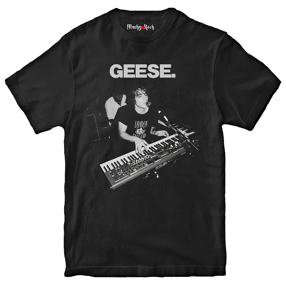 GEESE - Banda - V2 1