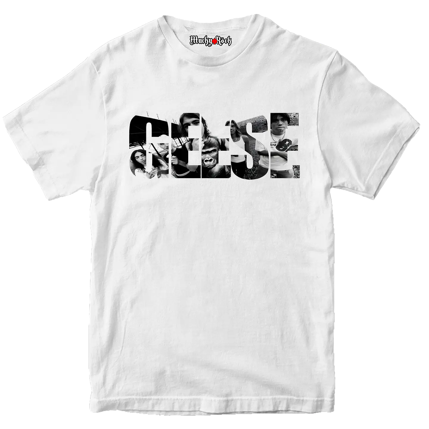 GEESE - Texto 1
