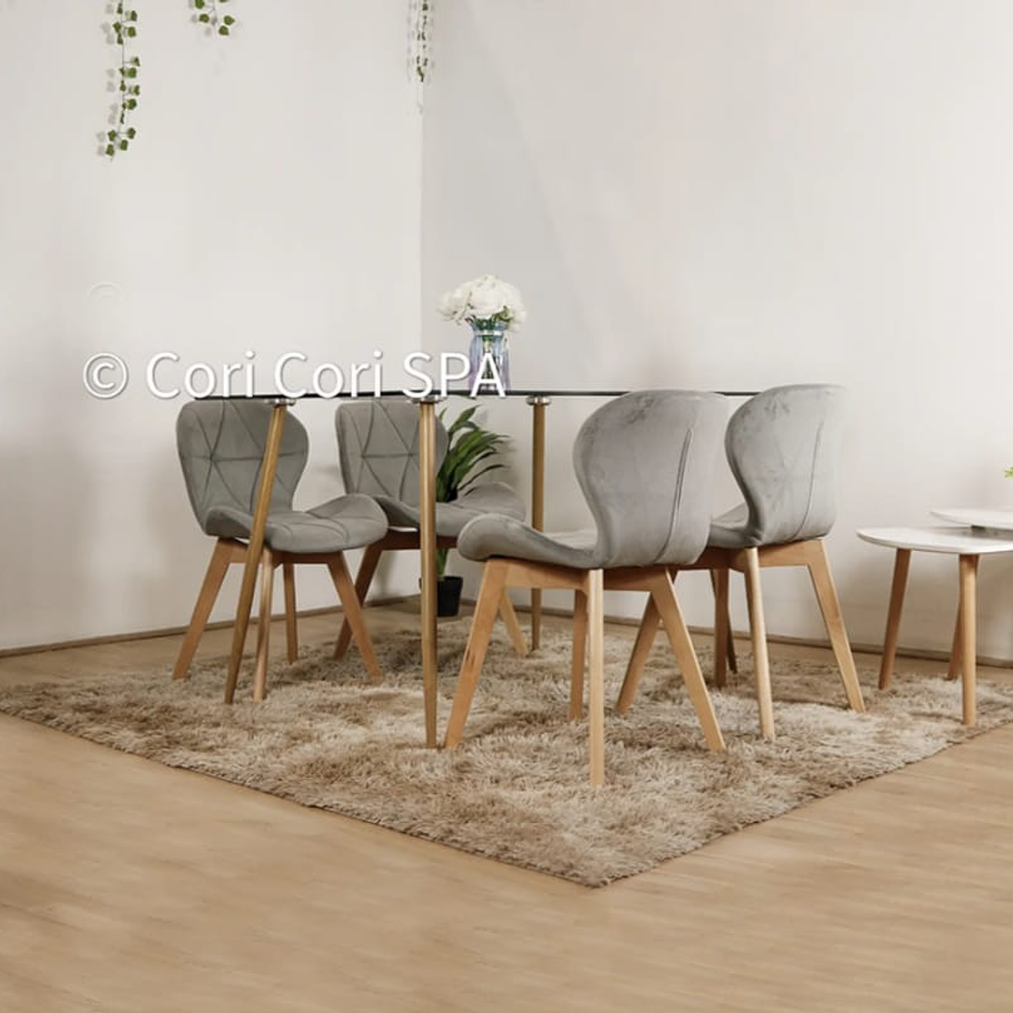 Mesa Rectangular 120*80 + 4 Sillas Velvet 2