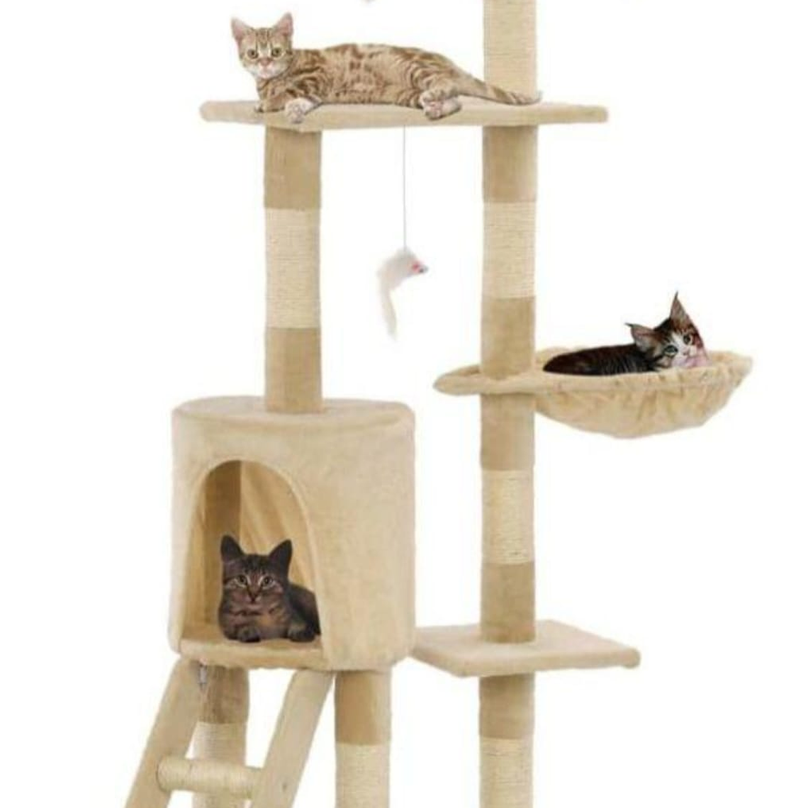 Rascador Para Gatos (Tamaño Mediano) 1