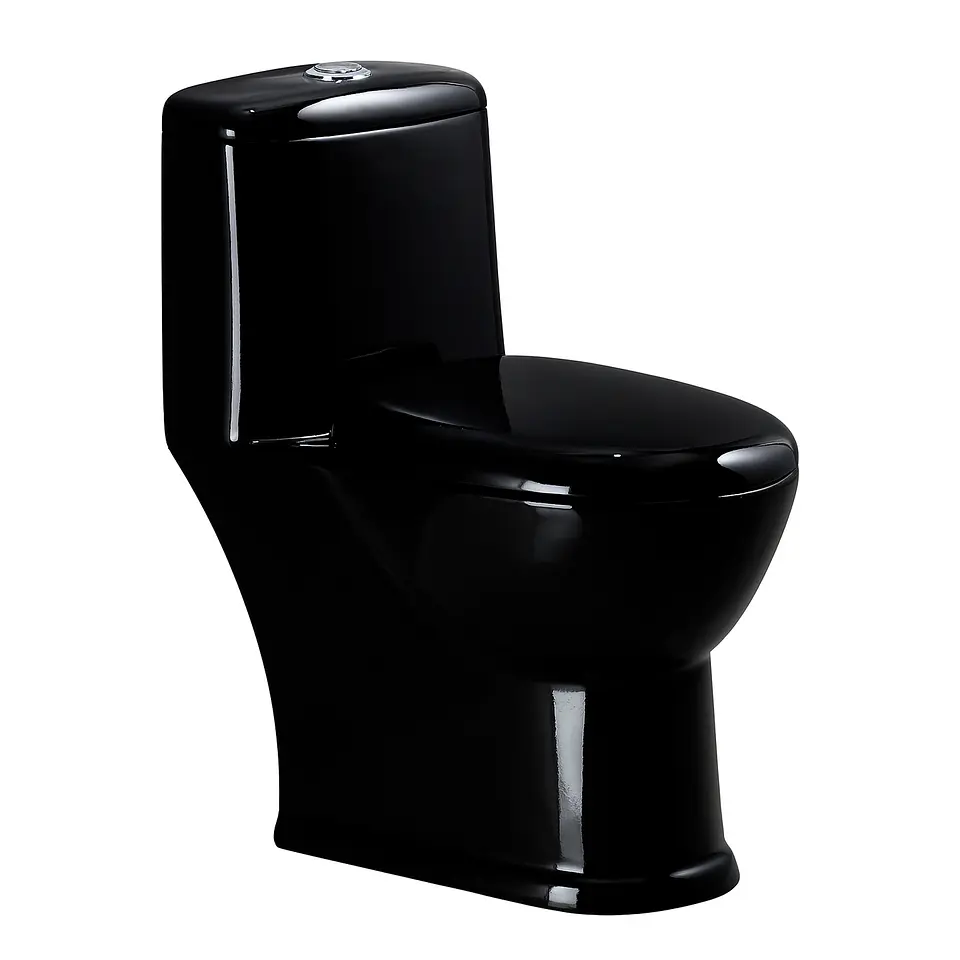 Wc Sanitario One Piece Modelo Sandes Negro 1