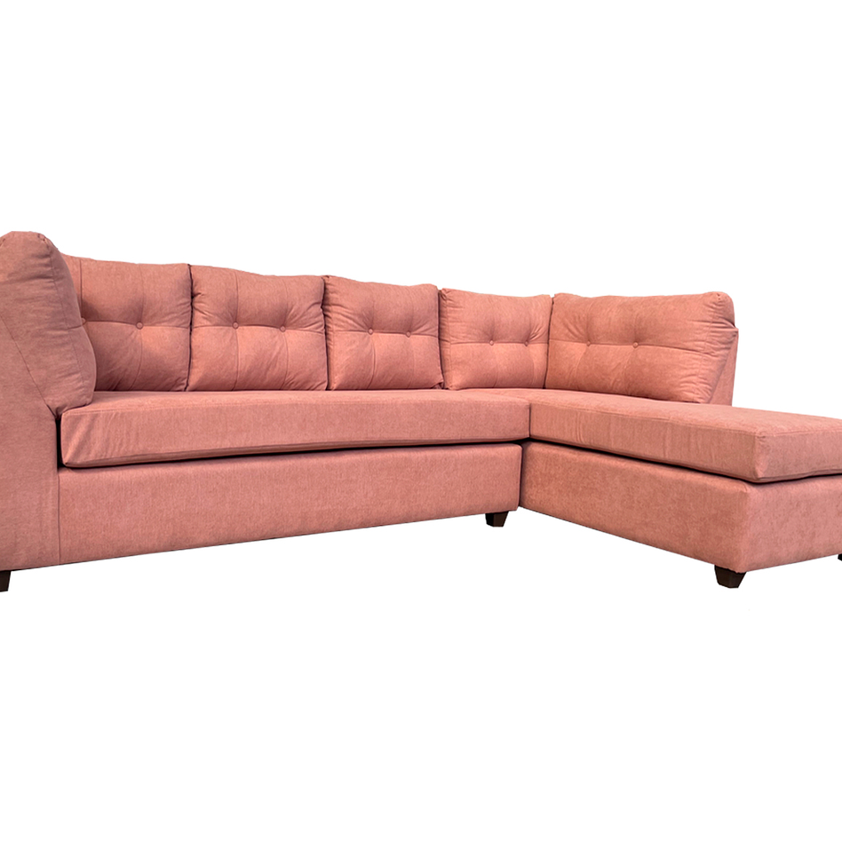 Seccional New Journey Lino Palo Rosa - Derecho 2