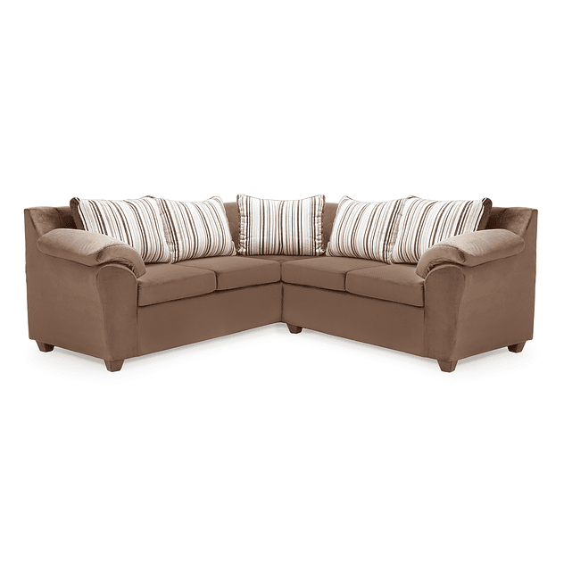 Seccional Cattaleya Felpa Café 3.2 1