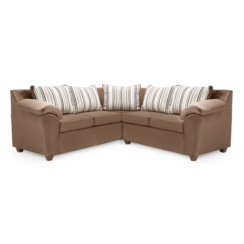 Seccional Cattaleya Felpa Café 3.2 1