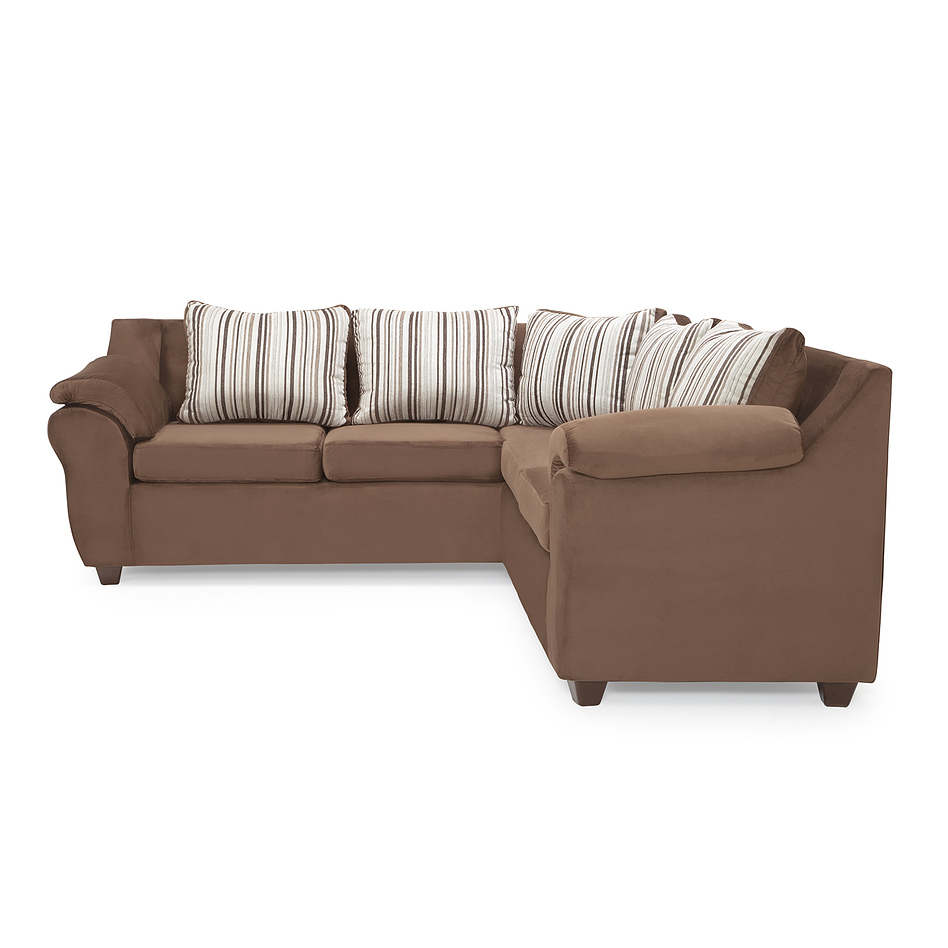 Seccional Cattaleya Felpa Café 3.2 2