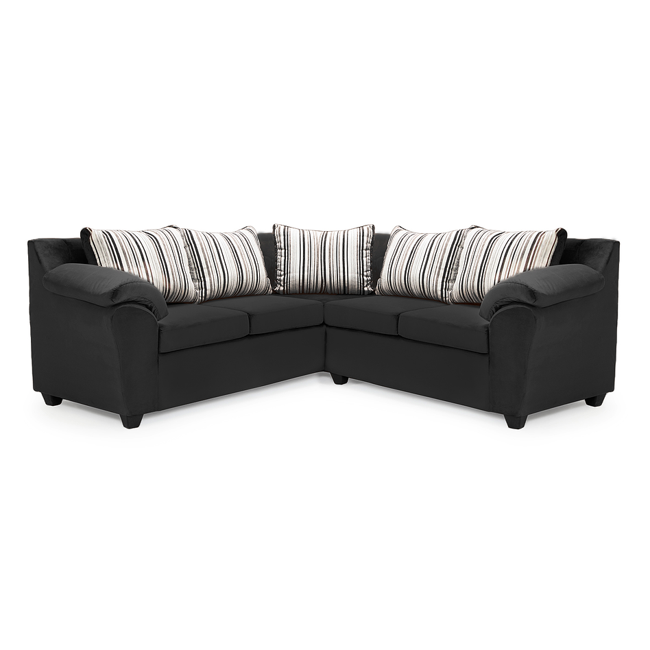 Seccional Cattaleya Felpa Negro 3.2 1