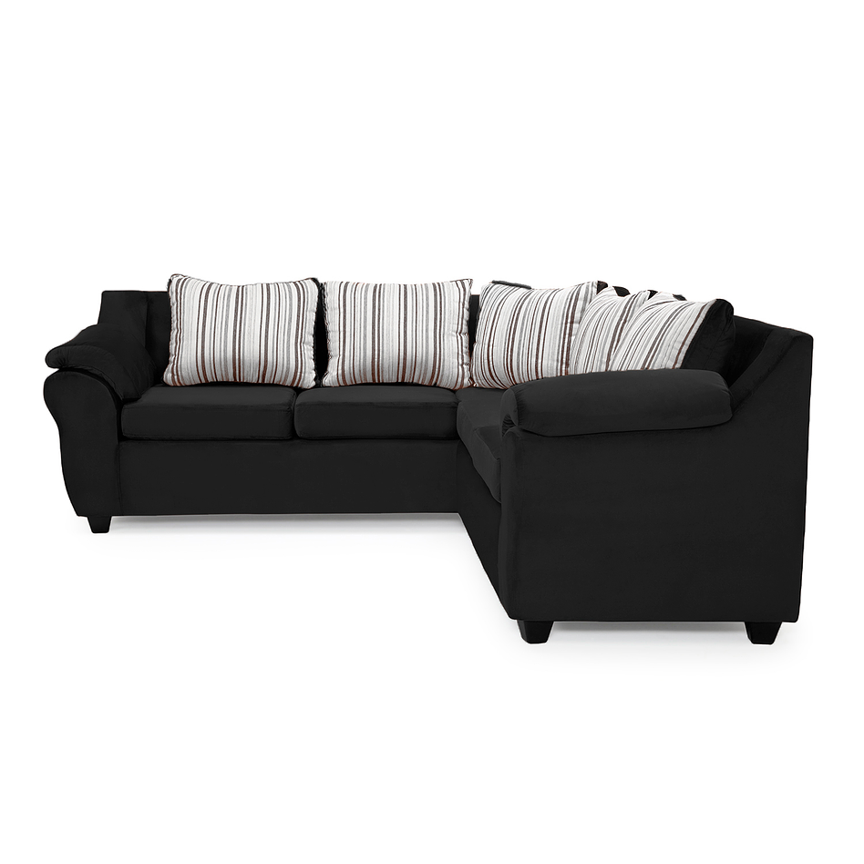 Seccional Cattaleya Felpa Negro 3.2 3