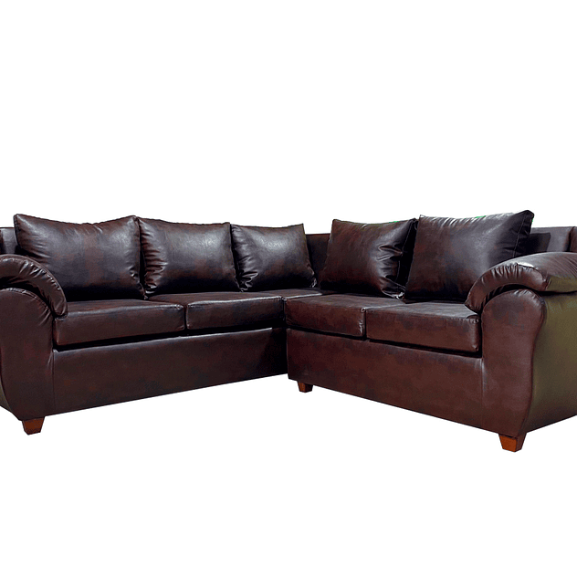 Seccional Cattaleya Pu Café 3.2 1