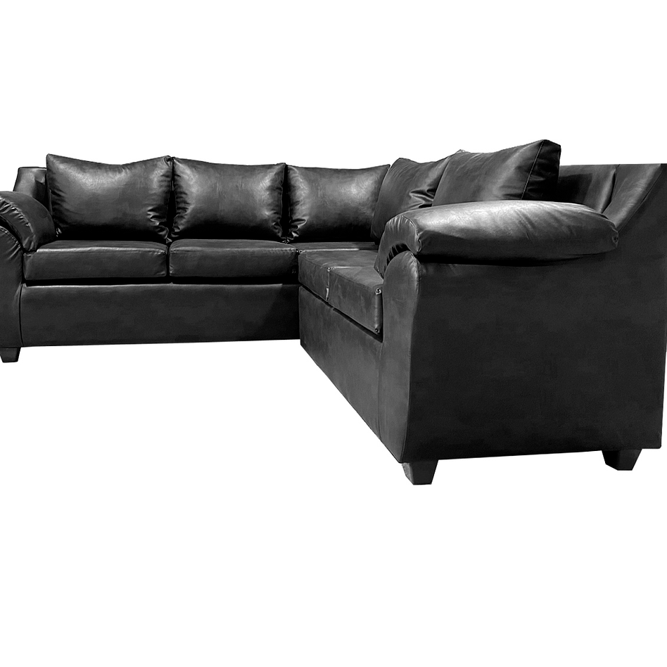 Seccional Cattaleya Pu Negro 3.2 2