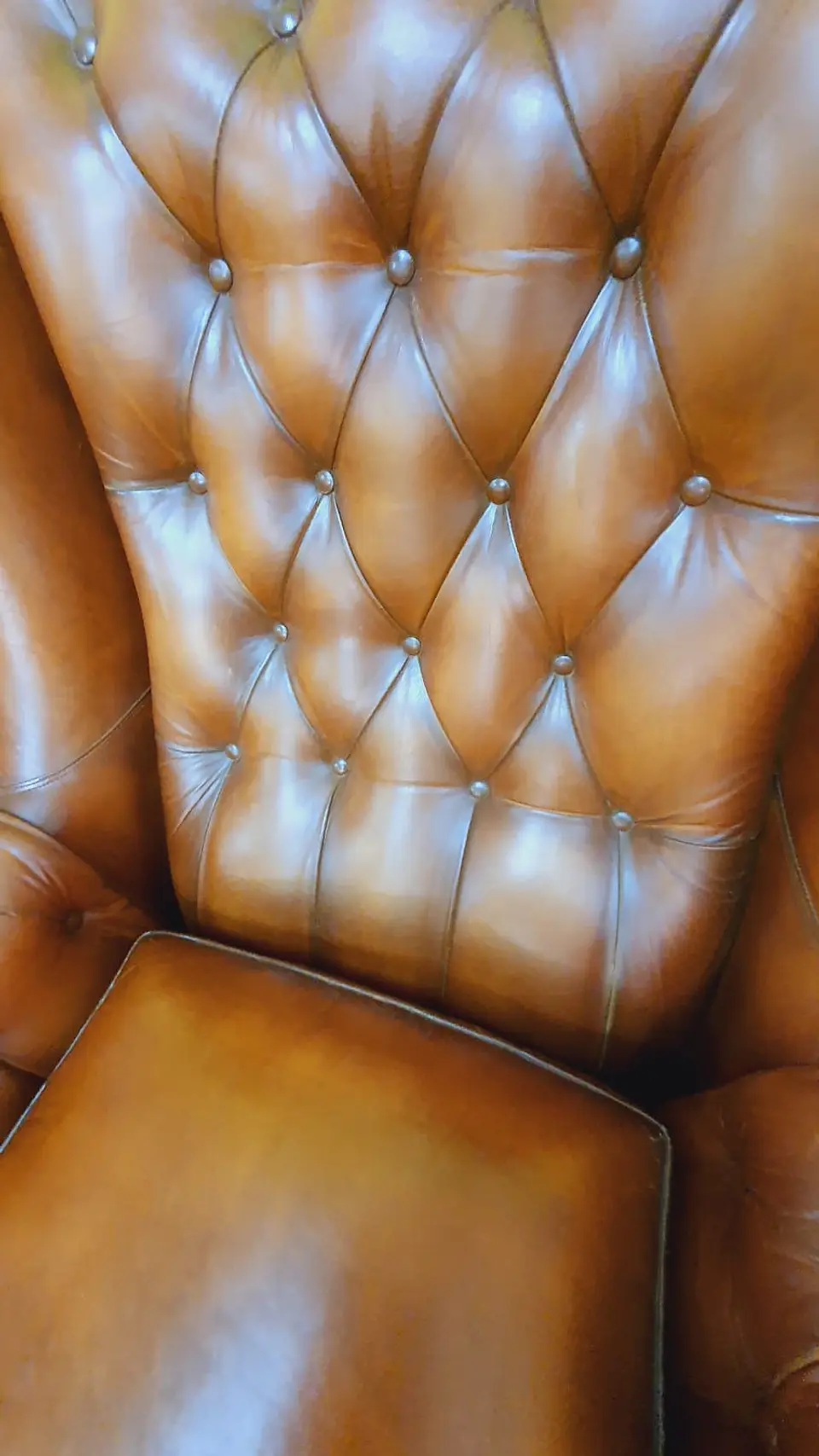 bergere cuero café 3