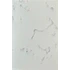 QuartzStone Blanco Galaxy 4