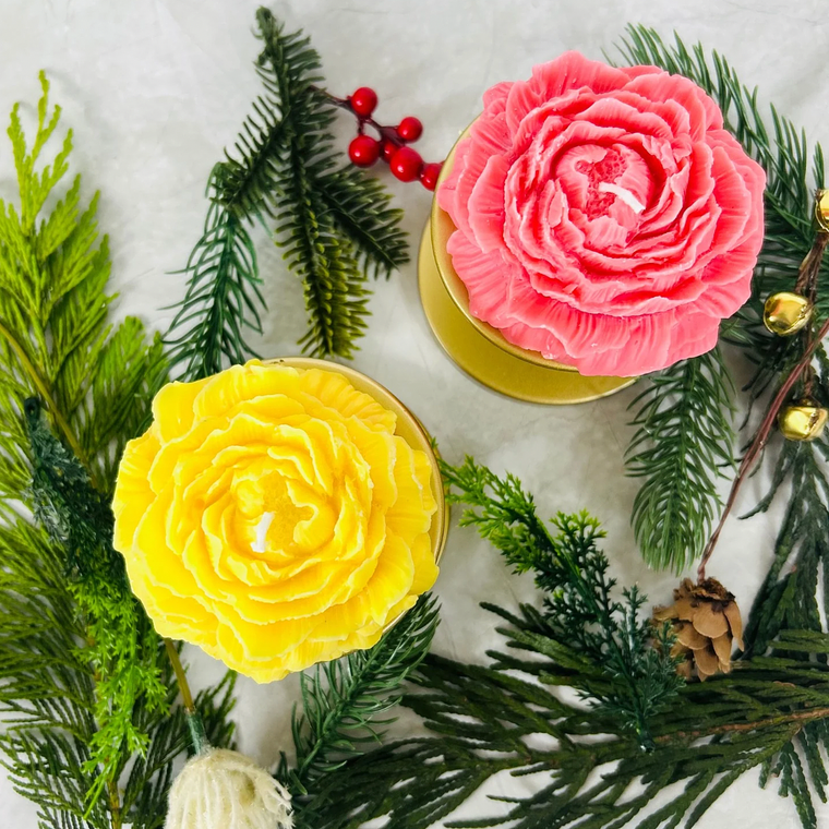 Pétalos Brillantes 1