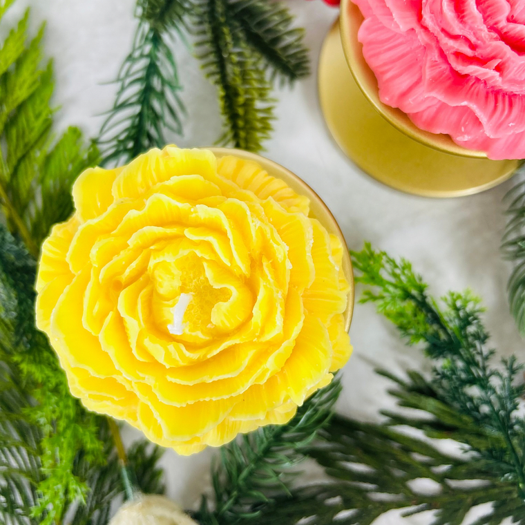 Pétalos Brillantes 5