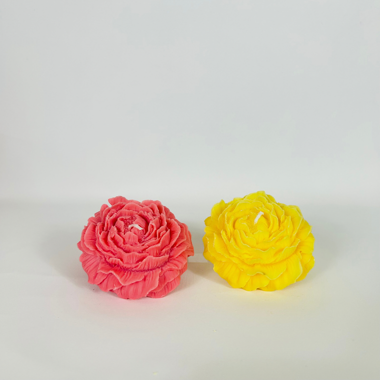 Pétalos Brillantes 6