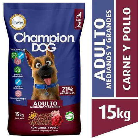 Champion dog 