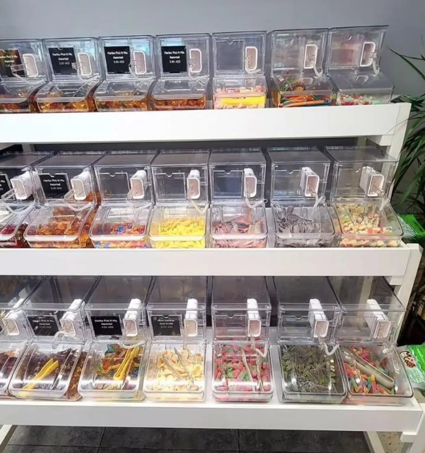 CAJA DE ALIMENTOS CON PALA 13 LITROS (PREVENTA) 3