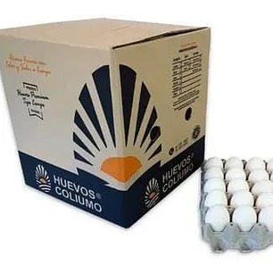 Huevos Coliumo ×180 unidades 