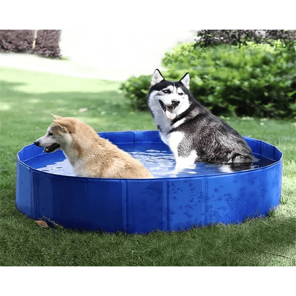 Piscina perros mascotas plegable 80x20 3