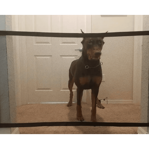 Puerta Mágica Para Mascotas Malla Cerco Perros Seguridad 3