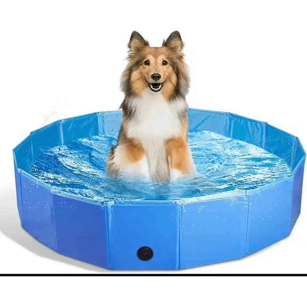 Piscina Plegable Para Perros Mascotas 120 X 30 Cm