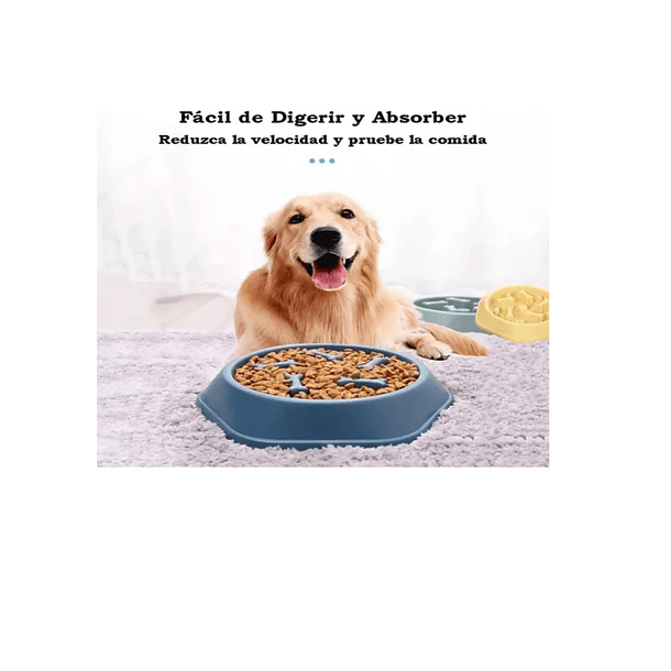 Plato De Alimentación Lenta Para Perro Mascota 2