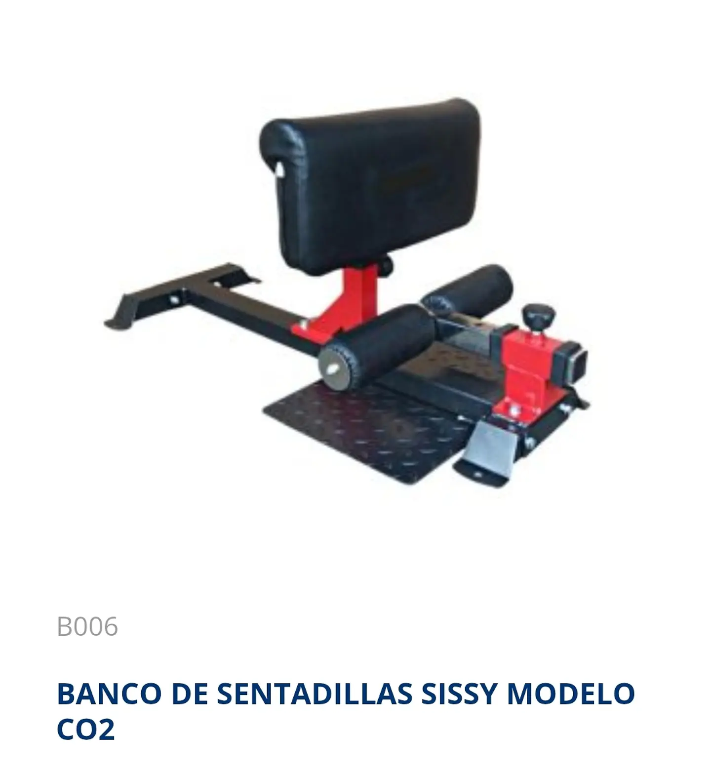 Sentadilla Sisi 1
