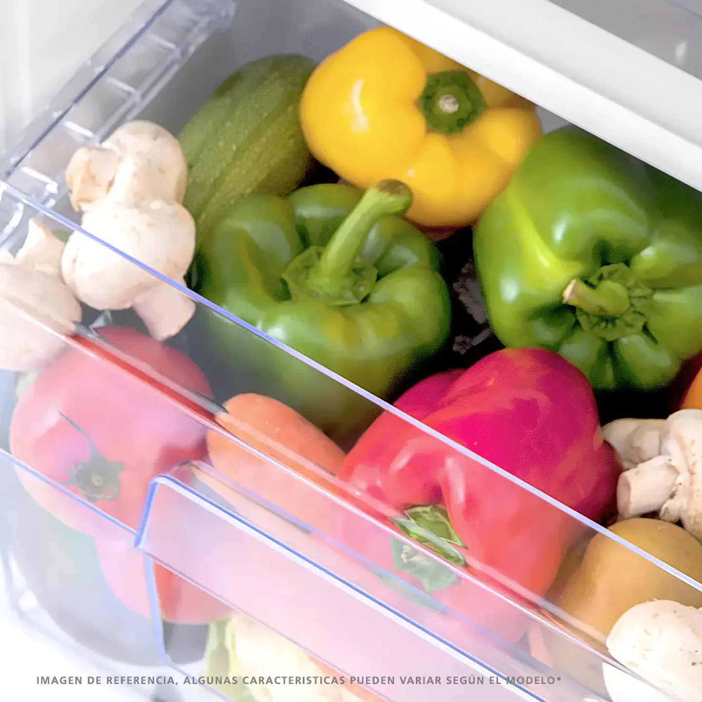Refrigerador F/D 154L Bottom Mabe Rmb176Pxlcx0 5