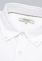 CAMISA MANGA LARGA OXFORD SBOL LISA ARROW CM31063BL - Miniatura 6