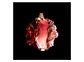 Skr Dance Midnight Re Muse  Edt 80Ml (Mu)Shakira 066Perf345 S/C S/T - Miniatura 3