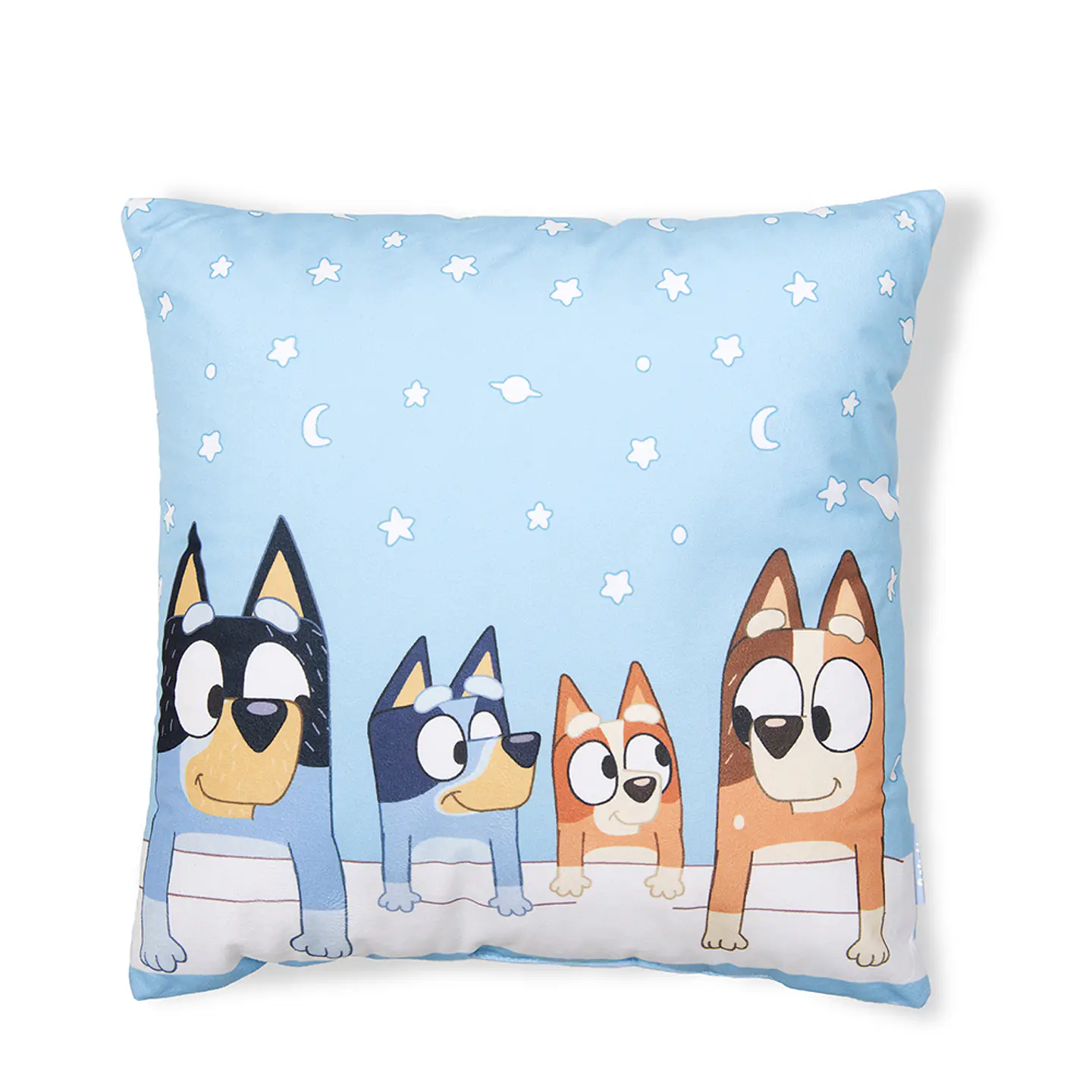 COJIN VELOUR EST. 40x40 CM BLUEY 1